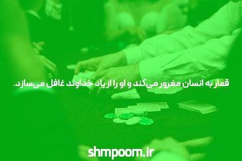 سایت شرط بندی معتبر تینیبت